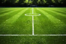 大连人,不敌长春亚,儒尼奥尔献,博鱼体育官网,博鱼体育app,博鱼体育APP下载